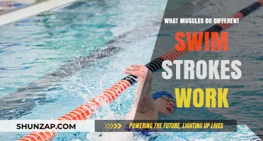 Swim Strokes and Muscles: A Guide to Targeted Aquatic Workouts