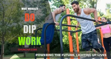 Dips Workout: Targeting Triceps, Chest, and Shoulder Muscles Effectively