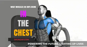 Dips for Chest: Targeted Muscles and Workout Benefits Explained