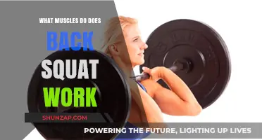 Back Squat Benefits: Targeted Muscles and Full-Body Strength Training Explained