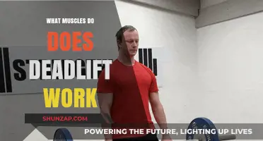 Deadlift Muscles: Unlocking Full-Body Strength and Power Potential