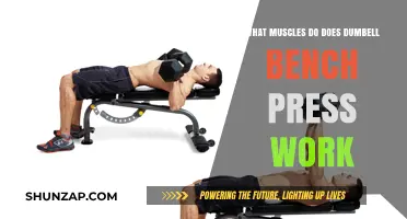 Dumbbell Bench Press: Target Muscles and Benefits Explained