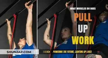 Pull-Ups: Targeted Muscles and Full-Body Strength Benefits Explained
