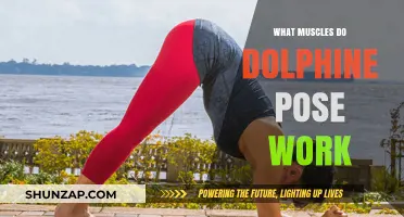 Dolphin Pose Benefits: Targeted Muscles and Strengthening Effects Explained