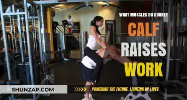 Donkey Calf Raises: Targeted Muscles and Effective Training Benefits
