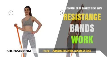 Donkey Kicks with Resistance Bands: Targeted Muscles and Benefits