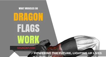 Dragon Flags: Unlocking Core, Lower Back, and Full-Body Strength