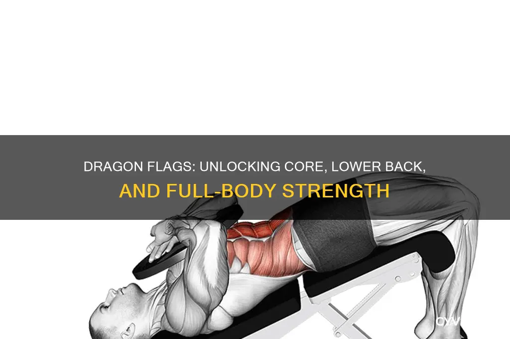 what muscles do dragon flags work