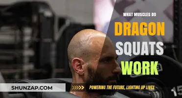 Dragon Squats: Target Muscles and Benefits for Strength Training