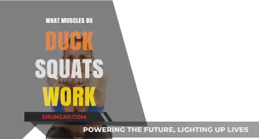 Duck Squats: Target Muscles and Benefits for Lower Body Strength