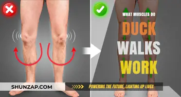 Duck Walks: Target Muscles and Benefits for Lower Body Strength