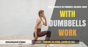 Dumbbell Balance Lunge Muscles: Targeted Strength Training Benefits Explained