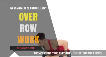 Dumbbell Bent Over Row: Target Muscles and Benefits Explained