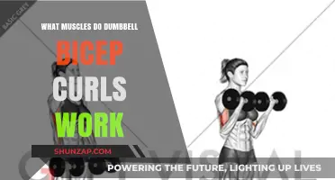 Dumbbell Bicep Curls: Target Muscles and Workout Benefits Explained