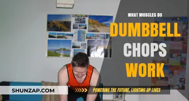Dumbbell Chops: Targeted Muscles and Core Strengthening Benefits Explained