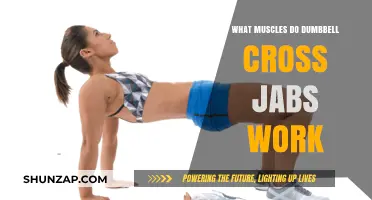 Dumbbell Cross Jabs: Targeted Muscles and Full-Body Benefits Explained