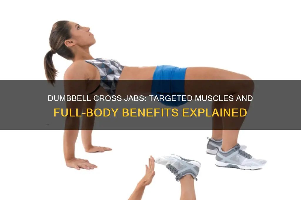 what muscles do dumbbell cross jabs work