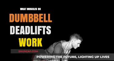 Dumbbell Deadlifts: Targeted Muscles and Full-Body Benefits Explained