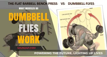 Dumbbell Flies: Target Muscles and Benefits for Chest and Shoulders