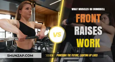 Dumbbell Front Raises: Targeted Muscles and Benefits Explained