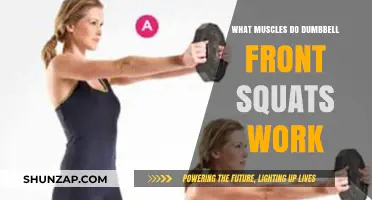 Dumbbell Front Squats: Target Muscles and Full-Body Benefits Explained