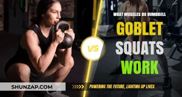Dumbbell Goblet Squats: Target Muscles and Full-Body Benefits Explained