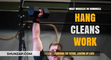 Dumbbell Hang Cleans: Targeted Muscles and Full-Body Benefits Explained