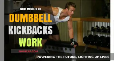 Dumbbell Kickbacks: Targeted Muscles and Effective Workout Benefits