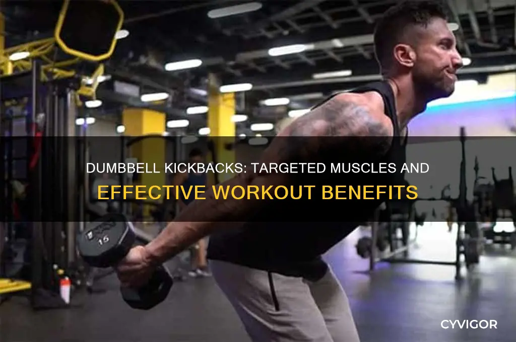 what muscles do dumbbell kickbacks work