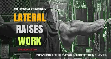Dumbbell Lateral Raises: Targeted Muscles and Shoulder Strengthening Benefits