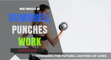 Dumbbell Punches: Targeted Muscles for Strength and Power Training