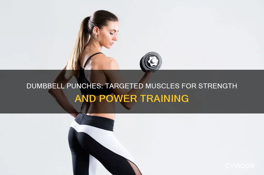 what muscles do dumbbell punches work