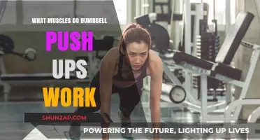 Dumbbell Push Ups: Targeted Muscles and Strength Benefits Explained