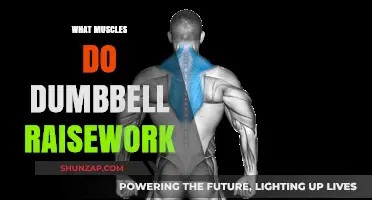 Dumbbell Raises: Targeting Your Shoulders and Upper Back