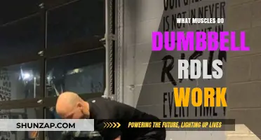 Dumbbell RDLs: Target Muscles and Benefits for Strength Training