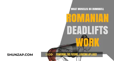 Dumbbell Romanian Deadlifts: Targeted Muscles and Benefits Explained