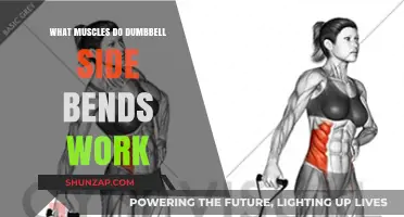 Dumbbell Side Bends: Targeted Muscles and Core Strengthening Benefits