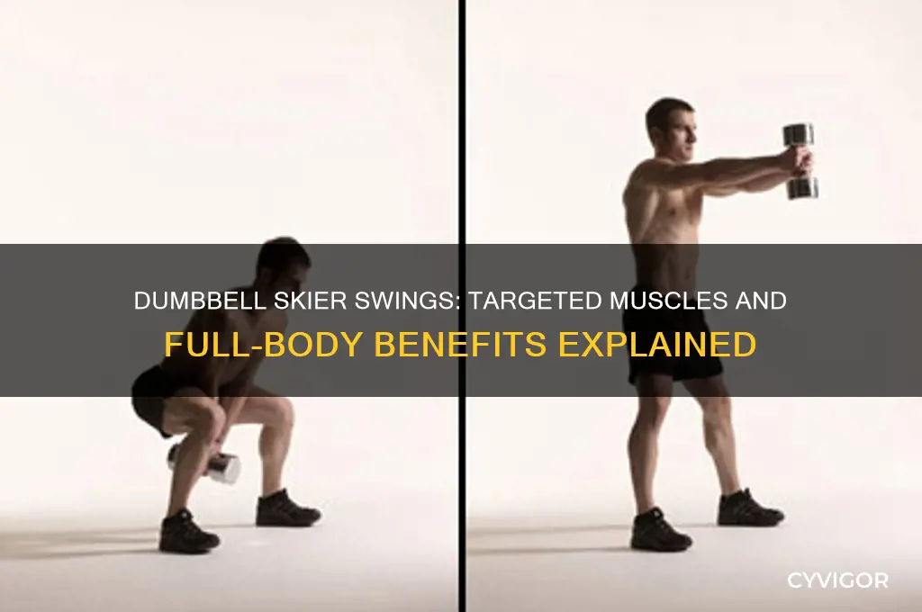 what muscles do dumbbell sker swings work