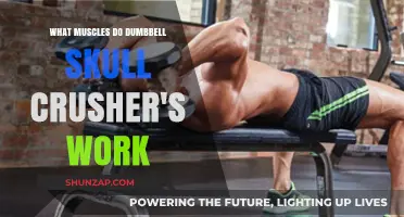 Dumbbell Skull Crushers: Targeted Muscles and Effective Workout Benefits
