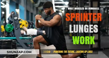 Dumbbell Sprinter Lunges: Targeted Muscles and Benefits Explained