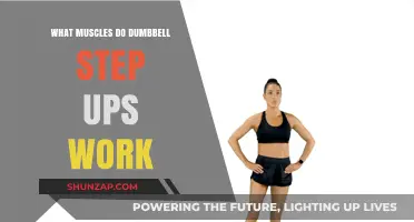 Dumbbell Step Ups: Target Muscles and Full-Body Benefits Explained