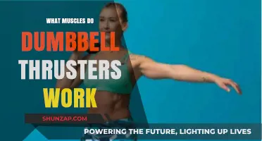 Dumbbell Thrusters: Targeted Muscles and Full-Body Benefits Explained