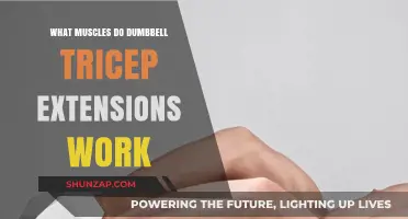 Dumbbell Tricep Extensions: Target Muscles and Effective Workout Benefits