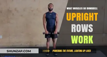 Dumbbell Upright Rows: Targeted Muscles and Effective Workout Benefits