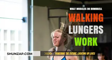Dumbbell Walking Lunges: Target Muscles and Benefits Explained