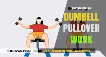 Dumbbell Pullover Muscles: Targeted Workout Benefits and Techniques