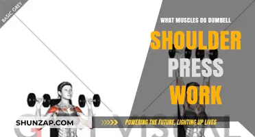 Dumbbell Shoulder Press: Target Muscles and Effective Workout Benefits