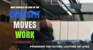 CrossFit Moves: Target Muscles for Each Exercise Explained