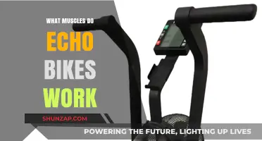 Echo Bike Muscles: Targeted Workout Benefits and Key Muscle Groups
