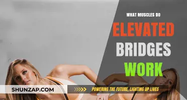 Elevated Bridges: Targeted Muscles and Benefits for Core Strength
